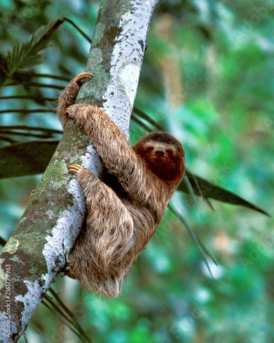Hang Loose