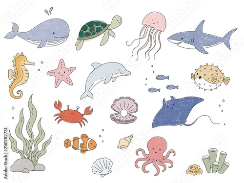 Ocean animal creatures for kids design