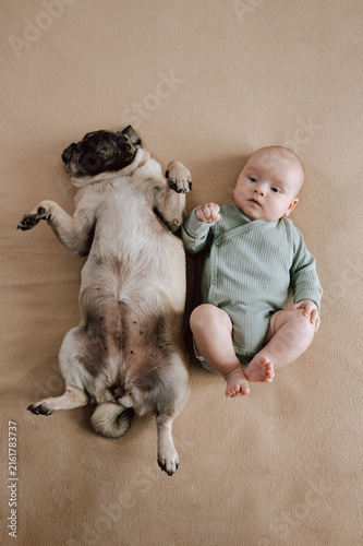 3 month baby boy and pug dog peacefully resting together. Pet and infant lying side by side naturally in harmony with joyful peaceful atmosphere. The concept of relationships between baby and pet dog