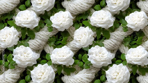 Pattern motion background loop featuring white roses and twisted ropes. Beautiful floral video backdrop with green leaves and elegant blooming ivory flowers.