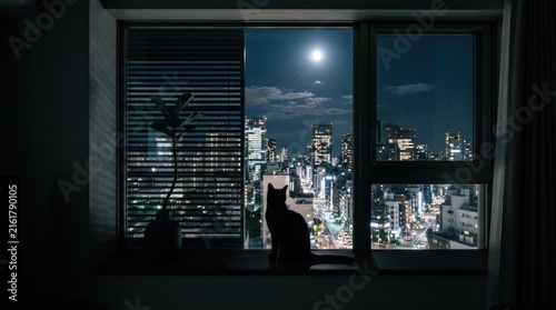 Cat watching illuminated city skyline through night window.