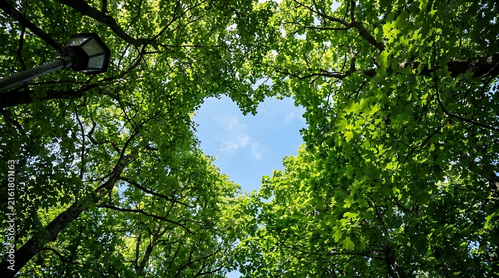 Fototapeta premium Heartshaped opening in a canopy of green leaves with blue sky above