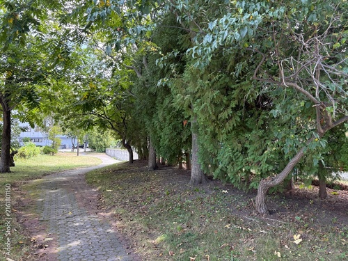 札幌の豊平区の景色