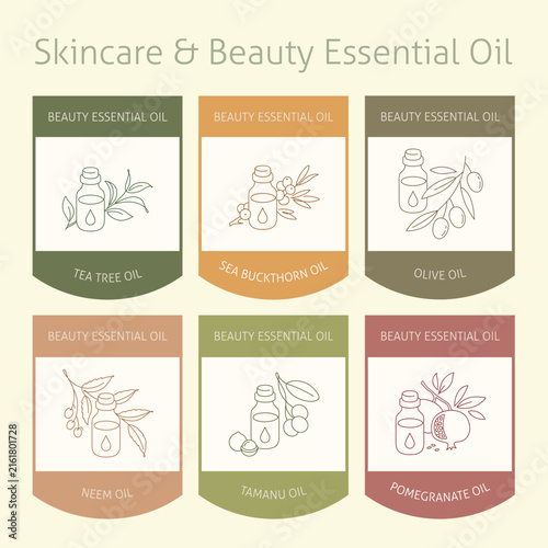 Natural beauty essential oil label set with organic plant botanical line art