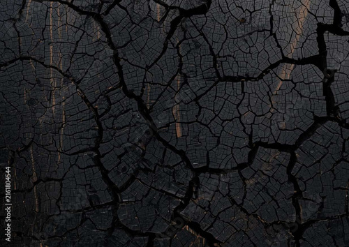 texture of the old wood