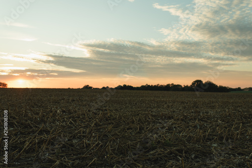 Warm sunset light stretches across a harvested corn field beneath a dramatic evening sky. This image highlights rural agriculture, post-harvest farmland, autumn scenery, and open countryside