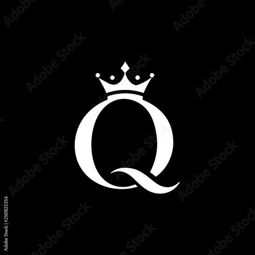 Q Letter Logo Icon Vector Design