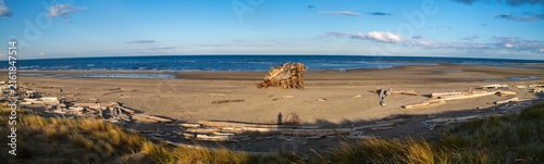 Pesuta or Pezuta Shipwreck Site Washed ashore Lumber Barge East Beach Haida Gwaii Archipelago, Hecate Strait Panorama Graham Island Northern BC Canada