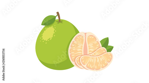 Fresh Pomelo Fruit Whole and Segmented Vector Illustration