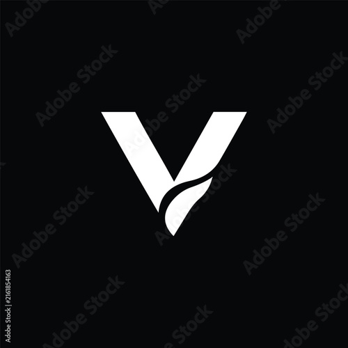 V Letter Logo Icon Vector Design