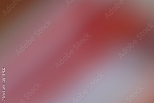Close-up of a delicate white and pink flower with soft focus and vibrant background perfect for