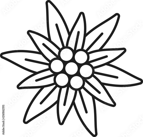 Alps edelweiss flower isolated thin line icon
