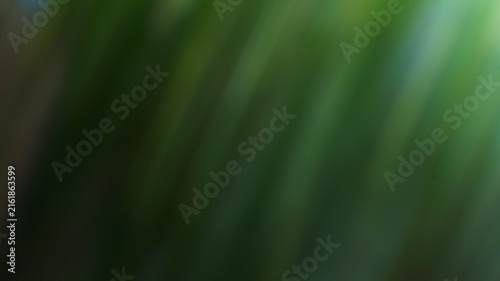 Close-up of dewdrops on vibrant green blades of grass during morning sunrise nature scene