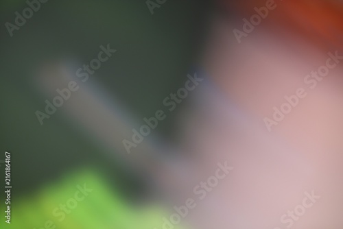 Close-up of green and pink plant leaves with blurred background showcasing nature health and