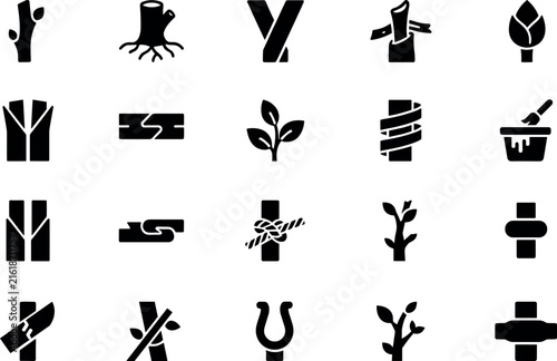 Tree grafting and plant propagation vector icons set for gardening design.Tree grafting and plant propagation vector icons set for gardening design.