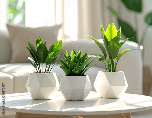 Three potted plants with vibrant green leaves sit atop a white table in a sunny room