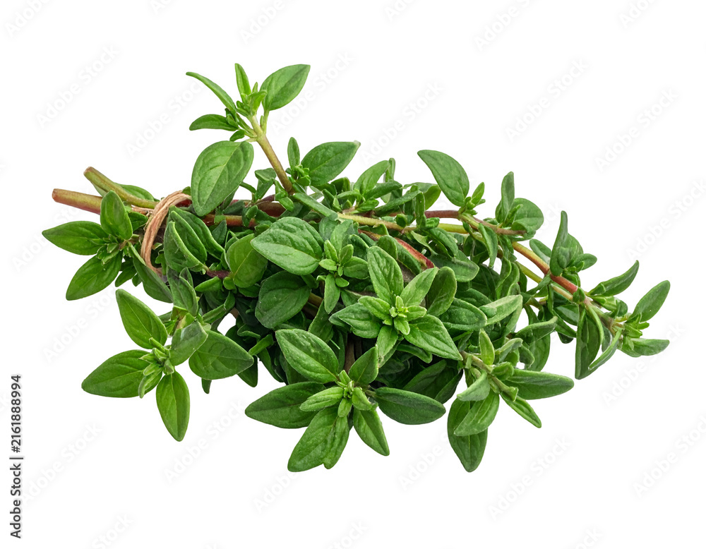 Fototapeta premium Fresh thyme isolated on transparent background