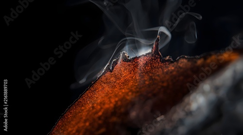 Macro cinematic shot of burning paper edge with glowing orange embers and rising smoke against dark background
