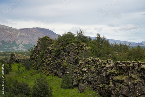 Cuadro en lienzo Natural geological phenomena in the surrounding area of ​​Thingvellir National Park in Iceland