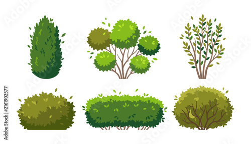 Green garden bushes and hedges set with different green shrub varieties plants landscaping design elements vector icons collection