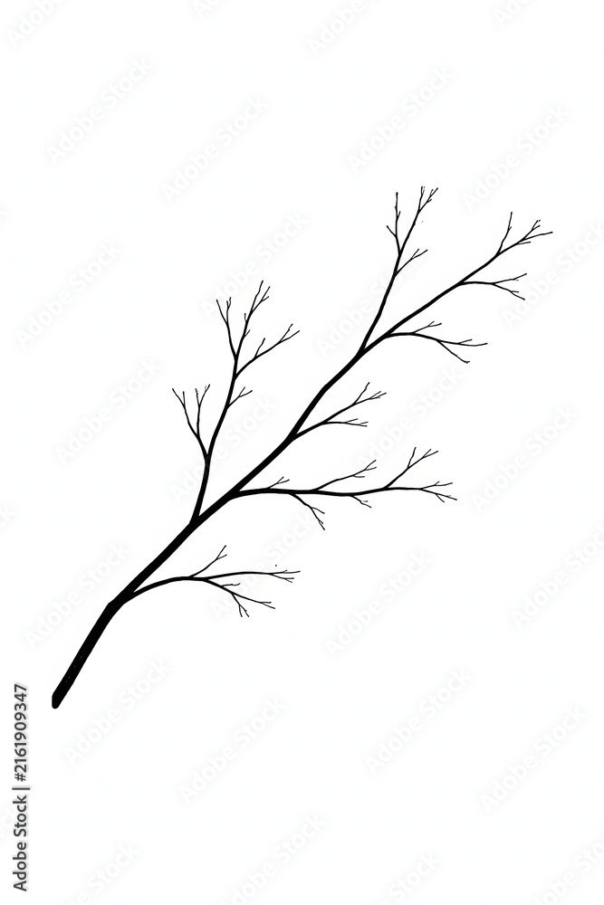 Fototapeta premium Minimalist bare tree branch silhouette with small twigs isolated on white background, black ink line art sketch and botanical nature design