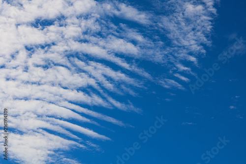 Foto Wispy, rippled white cirrocumulus clouds sweeping across a clear blue sky