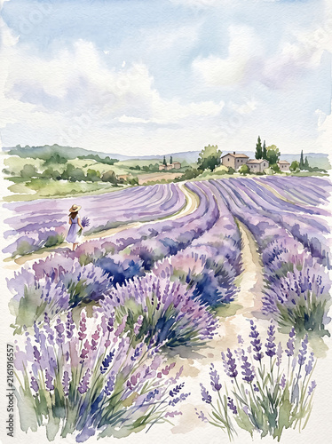 Watercolor painting of a person walking through a blooming lavender field in Provence.