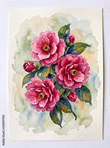 Watercolor painting of pink camellia flowers with green leaves.