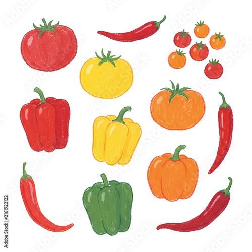 Vibrant hand-drawn illustration of fresh garden vegetables: bell peppers, tomatoes, chili peppers, and pumpkin.