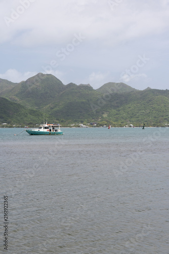 фотографія Island harbor infrastructure and hillside community in Providencia and Santa Cat