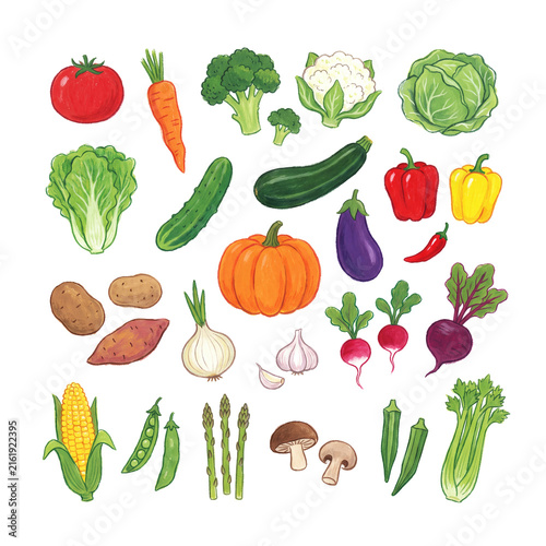 Extensive hand-drawn collection of diverse healthy organic vegetables for culinary and dietary concepts on transparent.