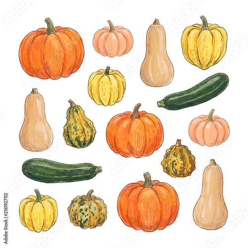 Cuadro en lienzo Diverse watercolor illustration set of autumn harvest vegetables: pumpkins, gourds, and zucchini