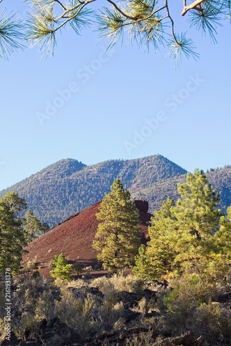 A pine forest with cinder cone in the mid-ground and forest covered mountain in the background. Pine branches frame the top of the image. Sunset Crater Volcano National Monument, Flagstaff, Arizona.