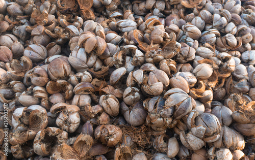 Fotografía Large Pile of Coconut Husk and Shell Waste as Natural Biomass Raw Material for S