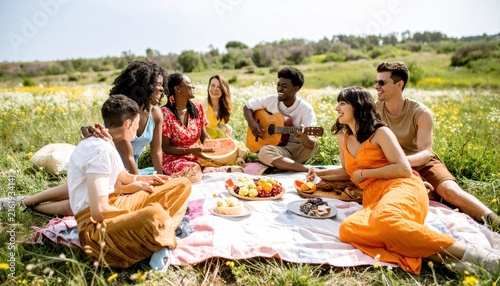Diverse Group of Friends Enjoying a Picnic in a Sunny Flower Field
