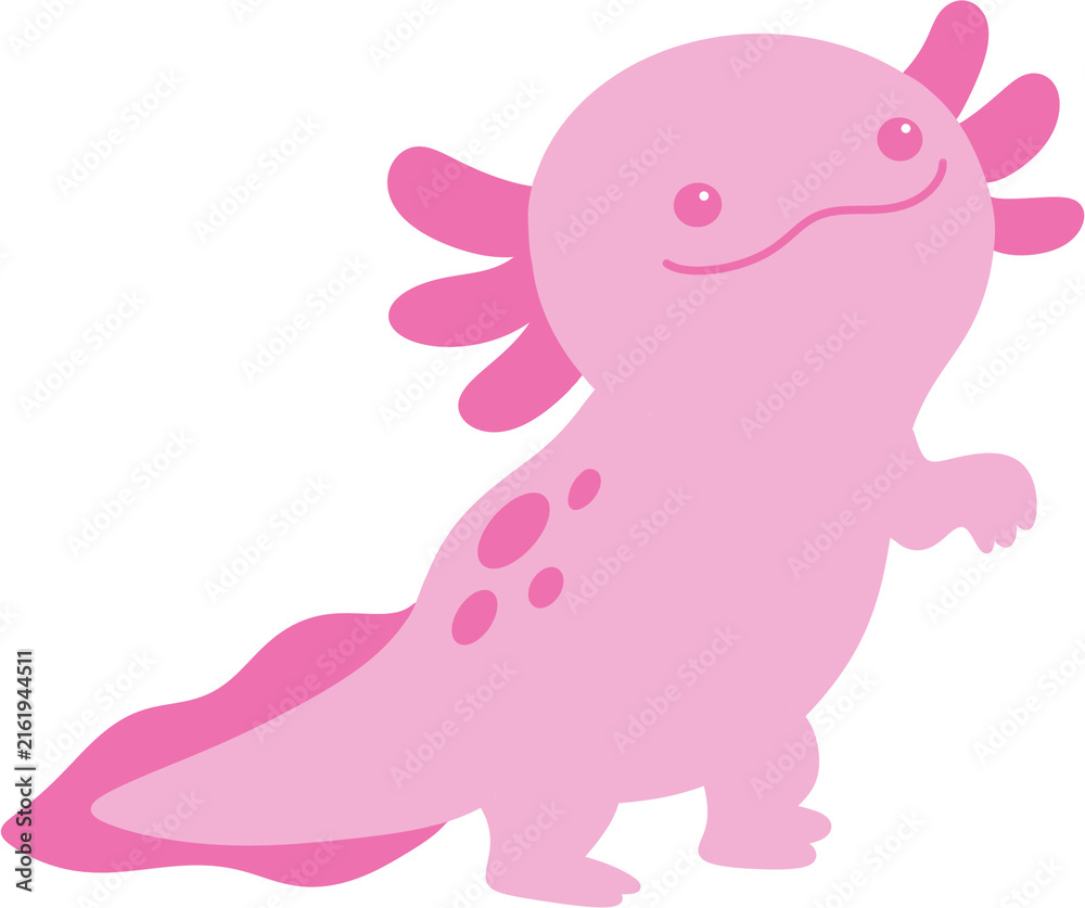 Fototapeta premium Axolotl