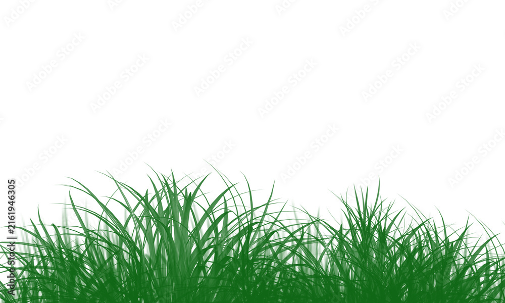 Fototapeta premium Fresh green grass blades isolated on transparent background for design and nature projects