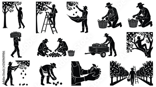 Set of black silhouettes showing farmers harvesting apples, working in orchards, carrying crates, and using tools on a white background
