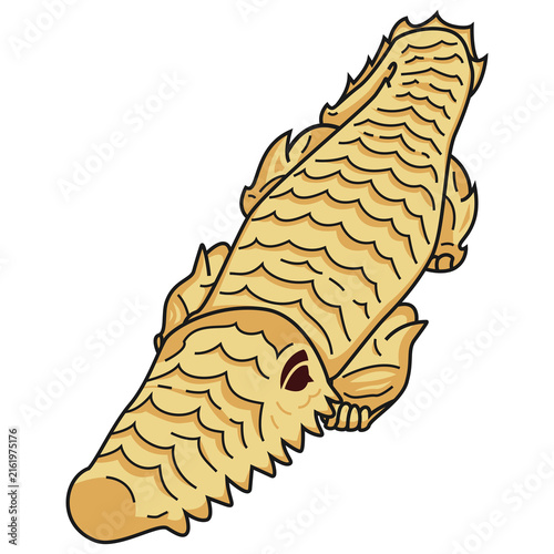 Vector illustration of an Roti Buaya