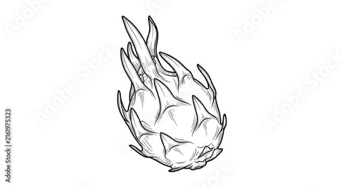 A detailed black and white line drawing depicts a dragon fruit. The prickly exterior of the fruit is meticulously rendered with sharp, pointed scales.