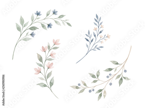 Watercolor botanical branches set with delicate leaves and flowers isolated on white background watercolor botanical branches illustration