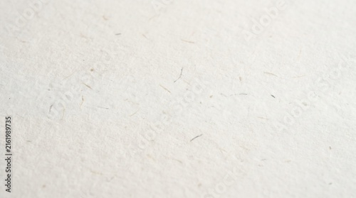 Close-up of Luxury Off-White Textured Surface with Fine Details