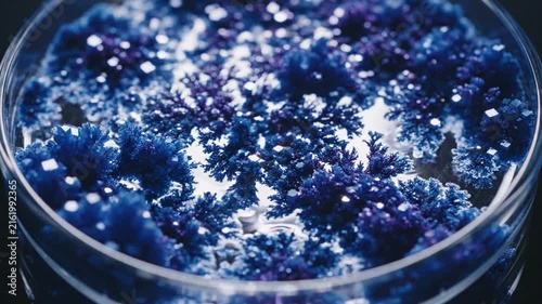 Intricate Blue Crystal Structures Forming in a Chemical Reaction