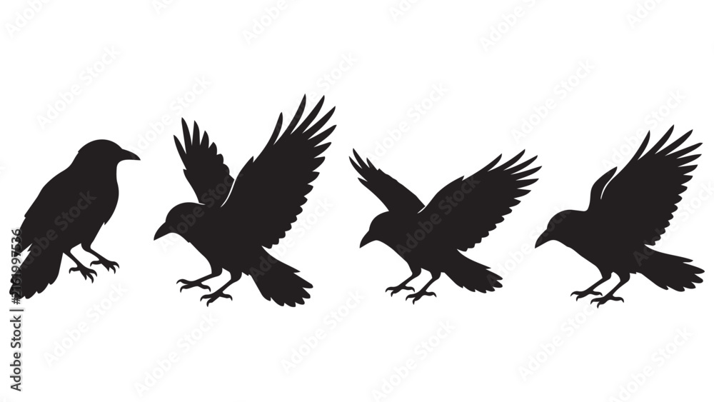 Obraz premium Black Silhouette Crow Icons in Dynamic Flight and Perched Positions - Minimalist Vector Art for Designers and Artists