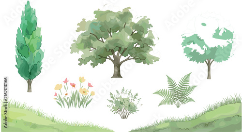 Watercolor landscape garden plant vector set featuring oak tree poplars wild flowers fern frond shrubs and green grass hill backdrops