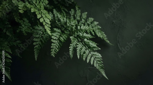Closeup of lush green fern leaves against a dark, textured background