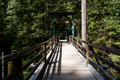 Wooden footbridge crossing a stream in a green forest. Scenic view of nature. Concept of a peaceful journey in a quiet, mysterious wilderness landscape