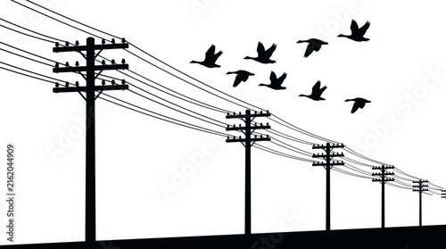 Flock Of Migratory Birds Flying Along Row Of Electric Utility Telegraph Poles In Perspective Silhouette Vector Illustration For Rural Road Landscape Backgrounds