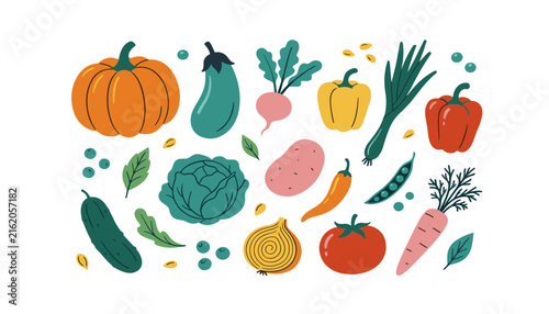 Fresh autumn vegetables organic food vector illustration set. Pumpkin, bell pepper, tomato, carrot, eggplant, cucumber, cabbage, onion.