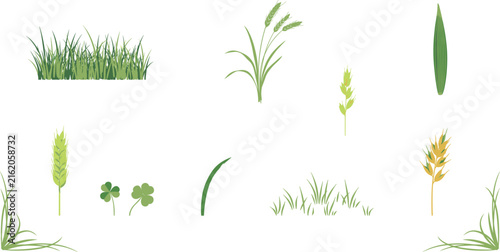 Green Grass Tufts and Cereal Plants Vector Icon Set Featuring Wheat Ears, Clover Leaves, and Field Herb Elements for Nature Designs